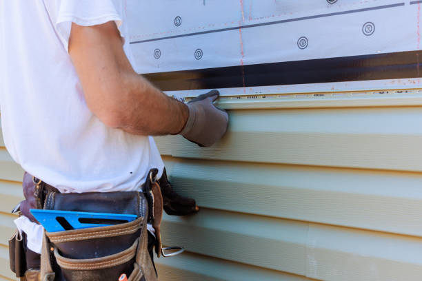 Affordable Siding Repair solutions in Ripley, WV